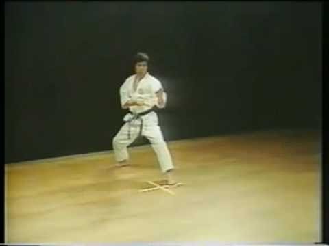shotokan kata videos